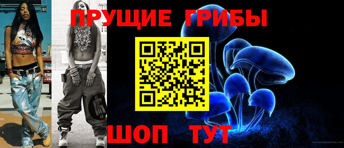 Галлюциногенные грибы Cubensis Ачхой-Мартан