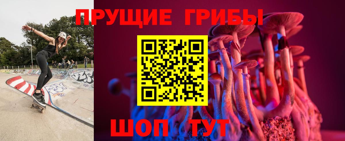 Псилоцибиновые грибы прущие грибы  Вход с VPN  Ачхой-Мартан  Псилоцибиновые грибы GOLDEN TEACHER 