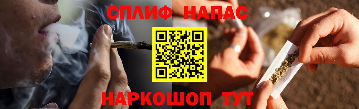 Канабис семена Ачхой-Мартан